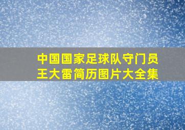 中国国家足球队守门员王大雷简历图片大全集