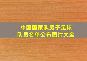 中国国家队男子足球队员名单公布图片大全