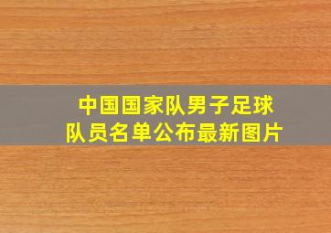 中国国家队男子足球队员名单公布最新图片