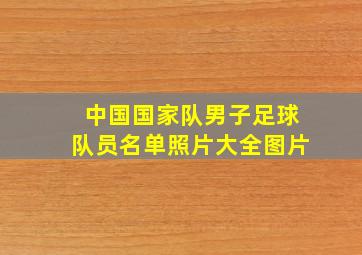 中国国家队男子足球队员名单照片大全图片