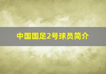 中国国足2号球员简介