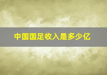 中国国足收入是多少亿