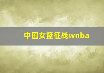 中国女篮征战wnba