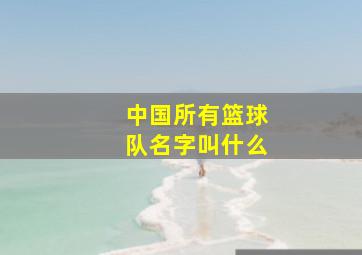 中国所有篮球队名字叫什么