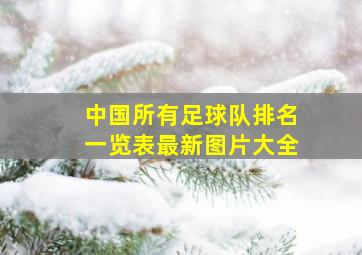 中国所有足球队排名一览表最新图片大全