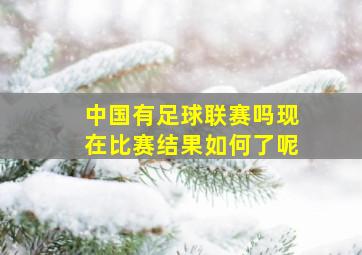 中国有足球联赛吗现在比赛结果如何了呢