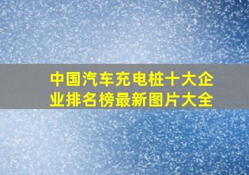 中国汽车充电桩十大企业排名榜最新图片大全