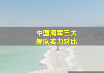 中国海军三大舰队实力对比