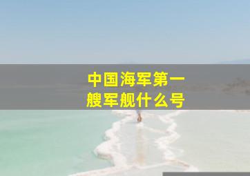 中国海军第一艘军舰什么号