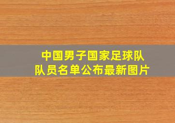 中国男子国家足球队队员名单公布最新图片