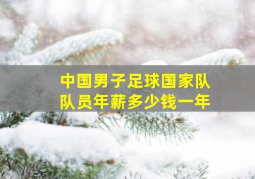 中国男子足球国家队队员年薪多少钱一年