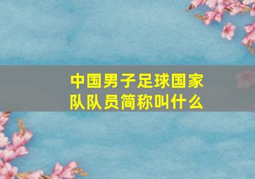 中国男子足球国家队队员简称叫什么