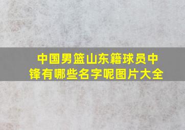 中国男篮山东籍球员中锋有哪些名字呢图片大全