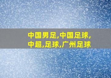 中国男足,中国足球,中超,足球,广州足球