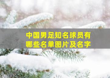 中国男足知名球员有哪些名单图片及名字