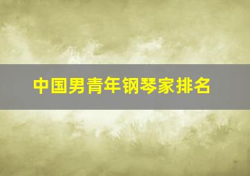 中国男青年钢琴家排名