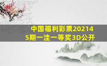 中国福利彩票202145期一洼一等奖3D公开