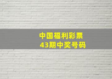 中国福利彩票43期中奖号码