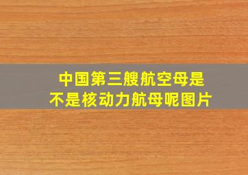 中国第三艘航空母是不是核动力航母呢图片