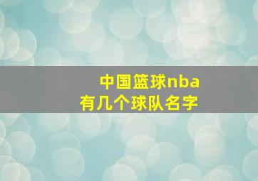 中国篮球nba有几个球队名字