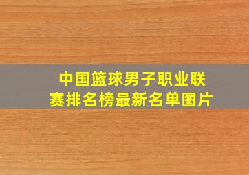 中国篮球男子职业联赛排名榜最新名单图片