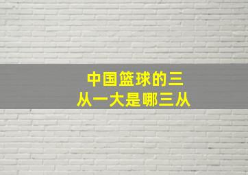 中国篮球的三从一大是哪三从