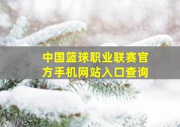 中国篮球职业联赛官方手机网站入口查询