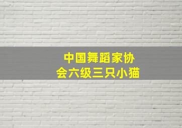 中国舞蹈家协会六级三只小猫