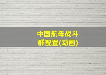 中国航母战斗群配置(动画)