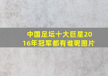 中国足坛十大巨星2016年冠军都有谁呢图片