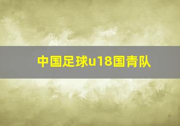 中国足球u18国青队