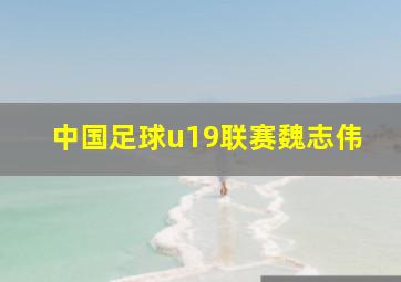 中国足球u19联赛魏志伟