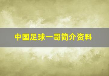 中国足球一哥简介资料