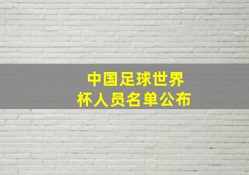 中国足球世界杯人员名单公布