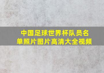 中国足球世界杯队员名单照片图片高清大全视频