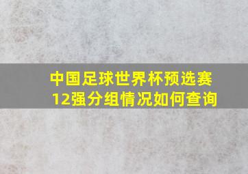 中国足球世界杯预选赛12强分组情况如何查询