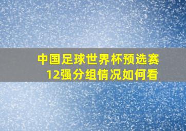 中国足球世界杯预选赛12强分组情况如何看