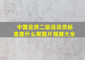 中国足球二级运动员标准是什么呢图片视频大全