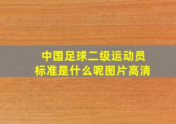 中国足球二级运动员标准是什么呢图片高清