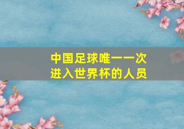 中国足球唯一一次进入世界杯的人员