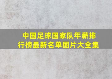 中国足球国家队年薪排行榜最新名单图片大全集