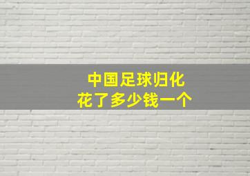 中国足球归化花了多少钱一个