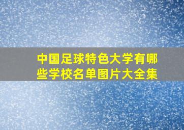 中国足球特色大学有哪些学校名单图片大全集