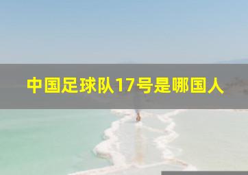 中国足球队17号是哪国人