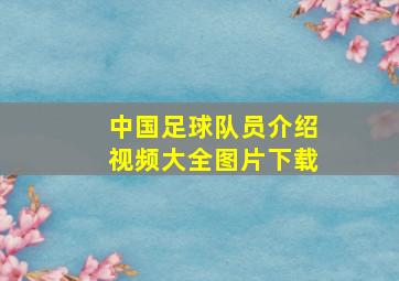 中国足球队员介绍视频大全图片下载