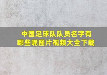 中国足球队队员名字有哪些呢图片视频大全下载