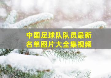 中国足球队队员最新名单图片大全集视频