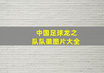 中国足球龙之队队徽图片大全