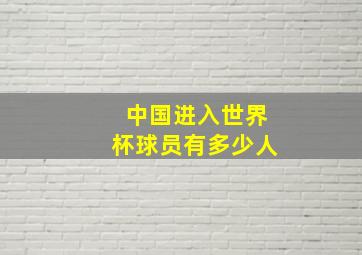 中国进入世界杯球员有多少人