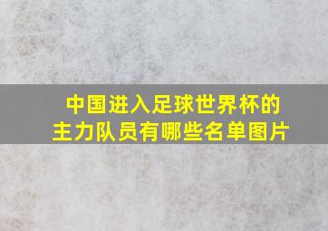 中国进入足球世界杯的主力队员有哪些名单图片